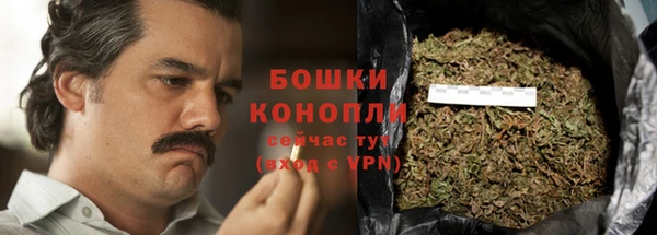 ГАЛЛЮЦИНОГЕННЫЕ ГРИБЫ Аркадак