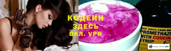 ГАЛЛЮЦИНОГЕННЫЕ ГРИБЫ Аркадак