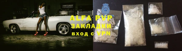 ГАЛЛЮЦИНОГЕННЫЕ ГРИБЫ Аркадак