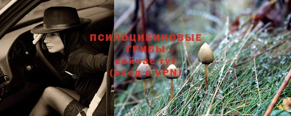 гидропоника Армянск