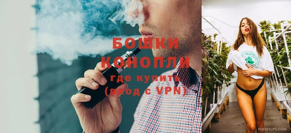 ГАЛЛЮЦИНОГЕННЫЕ ГРИБЫ Аркадак