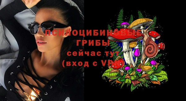 гидропоника Армянск