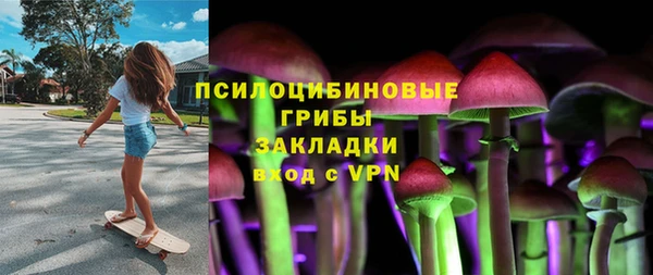 ГАЛЛЮЦИНОГЕННЫЕ ГРИБЫ Аркадак