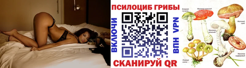 Купить где  Горняк  Псилоцибиновые грибы мухоморы 