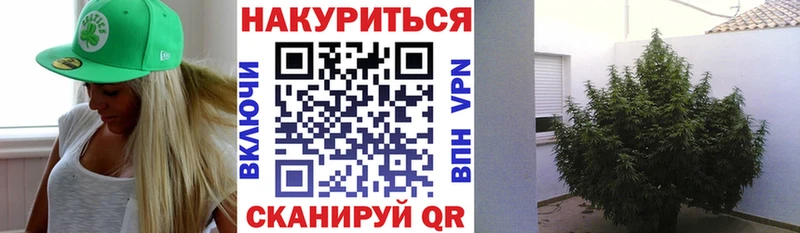 Бошки марихуана SATIVA & INDICA  Купить закладки  Горняк 